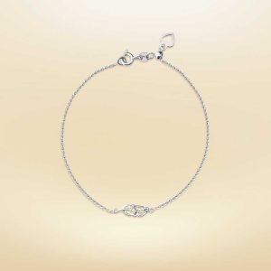 ใบกล้วย (Banana Leaf)